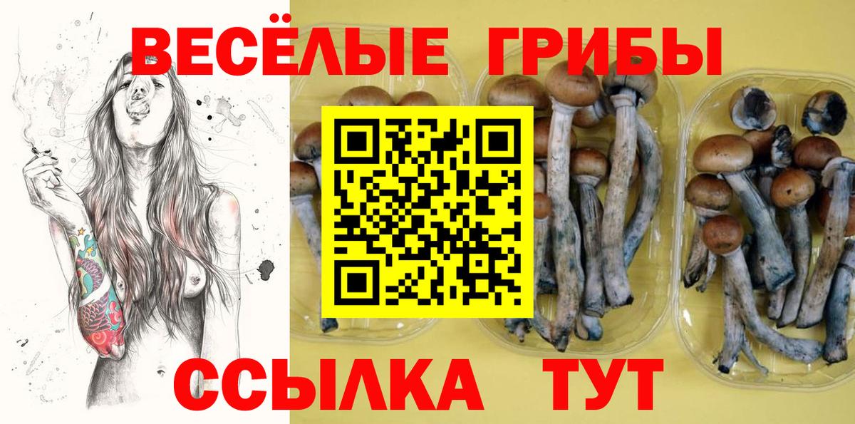Галлюциногенные грибы прущие грибы Владивосток
