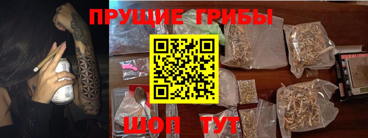 Галлюциногенные грибы мицелий  Вход с VPN  Владивосток 